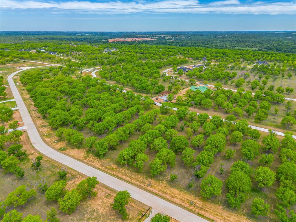 Pecan Plantation - Land