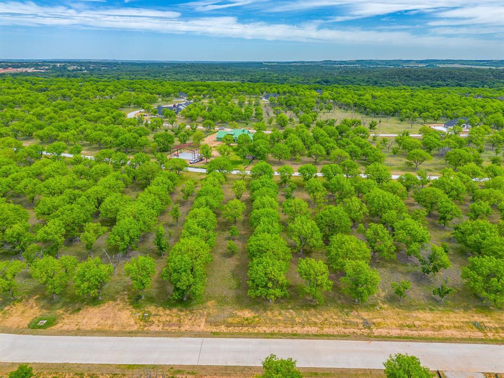 Pecan Plantation - Land