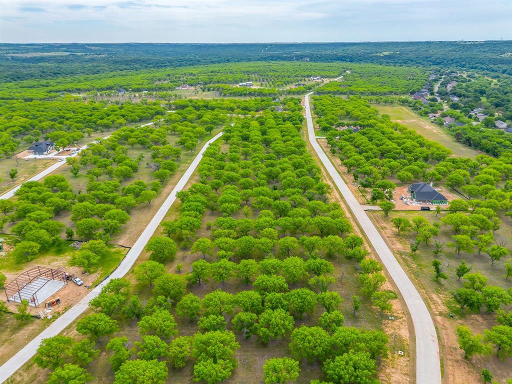 Pecan Plantation - Land