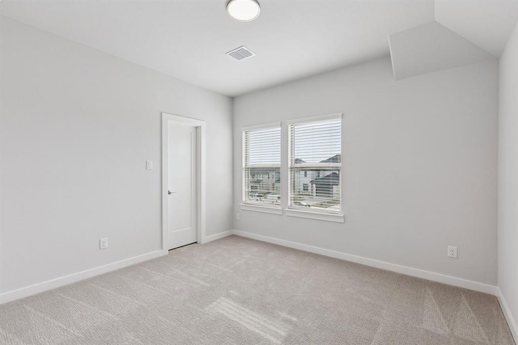 Painted Tree - Residential