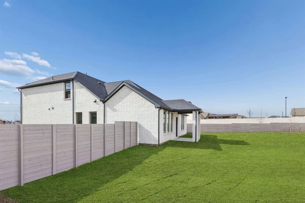 Painted Tree - Residential