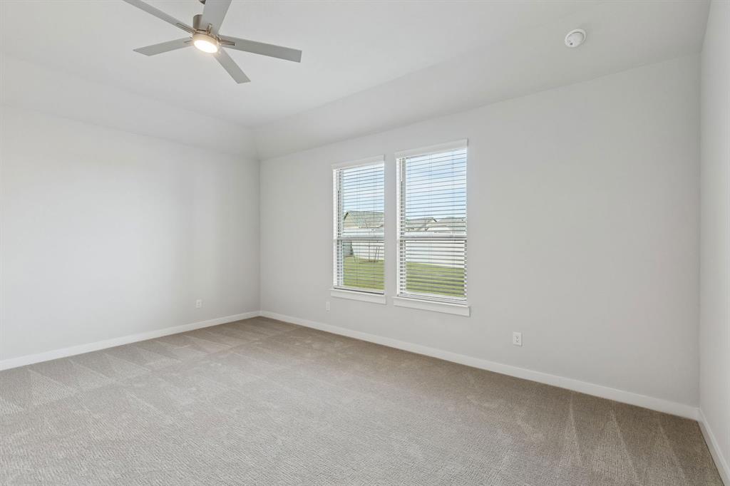 Painted Tree - Residential