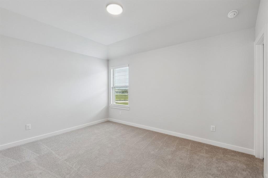 Painted Tree - Residential