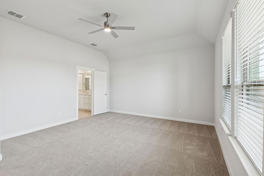 Painted Tree - Residential