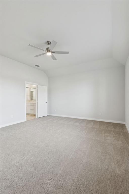 Painted Tree - Residential