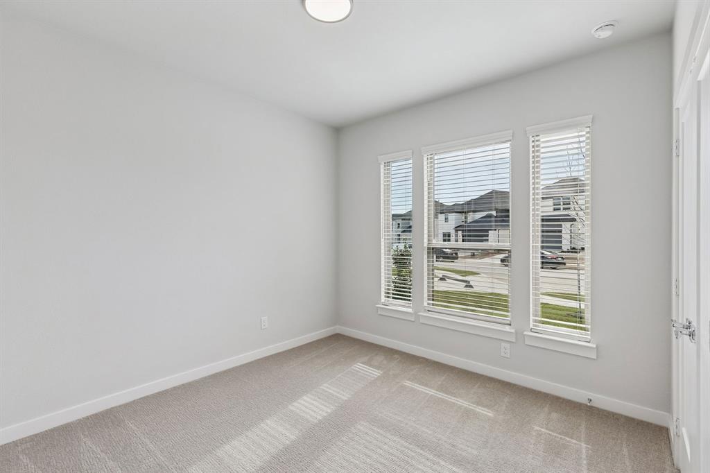 Painted Tree - Residential