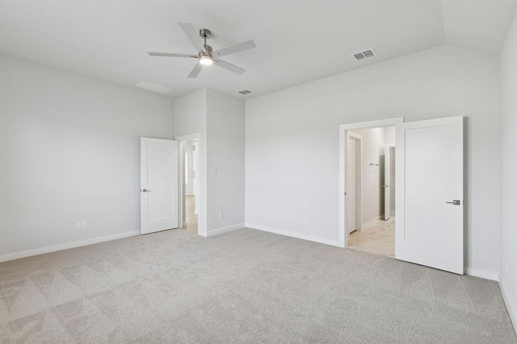 Painted Tree - Residential