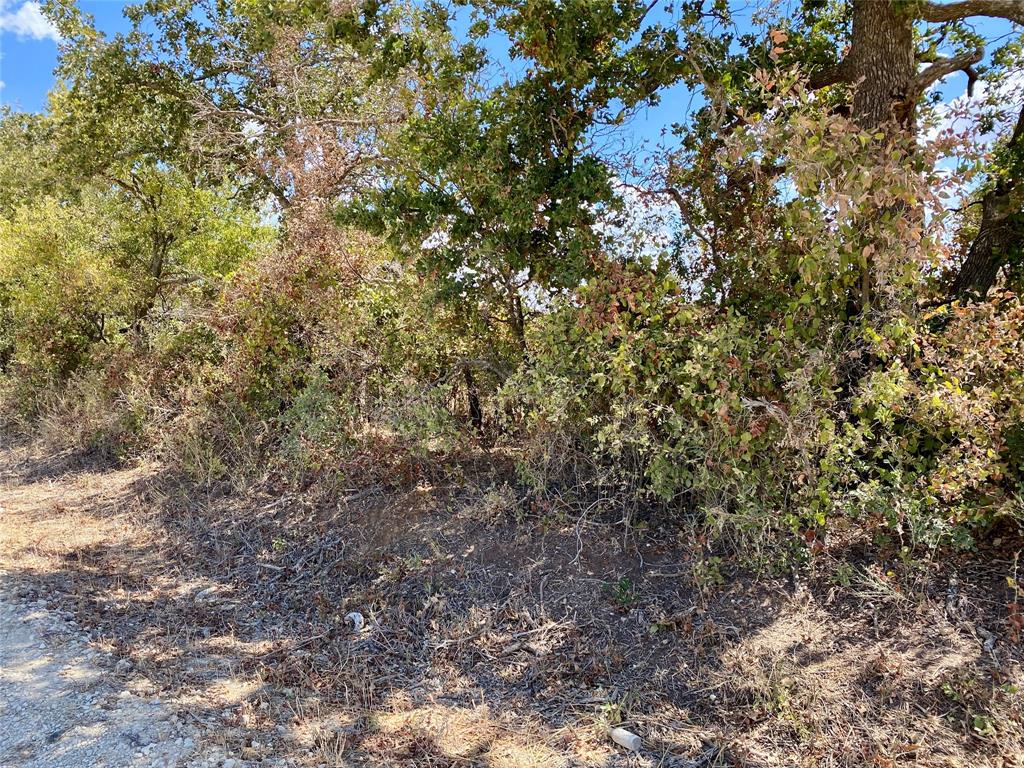 Rising Oak Ranch - Land