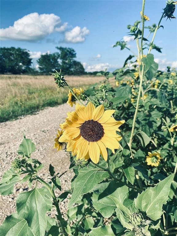 Ridgeway Ranches - Land