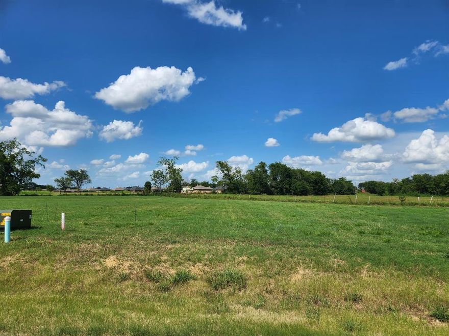 This very nice sized lot is one of the last lots left in this subdivision. Conveniently located in Mabank ISD and close to Hwy. 175 for easy access to Dallas and only minutes away from Cedar Creek Lake. Level lot with utilities available at the street, construction can start now on your new home.