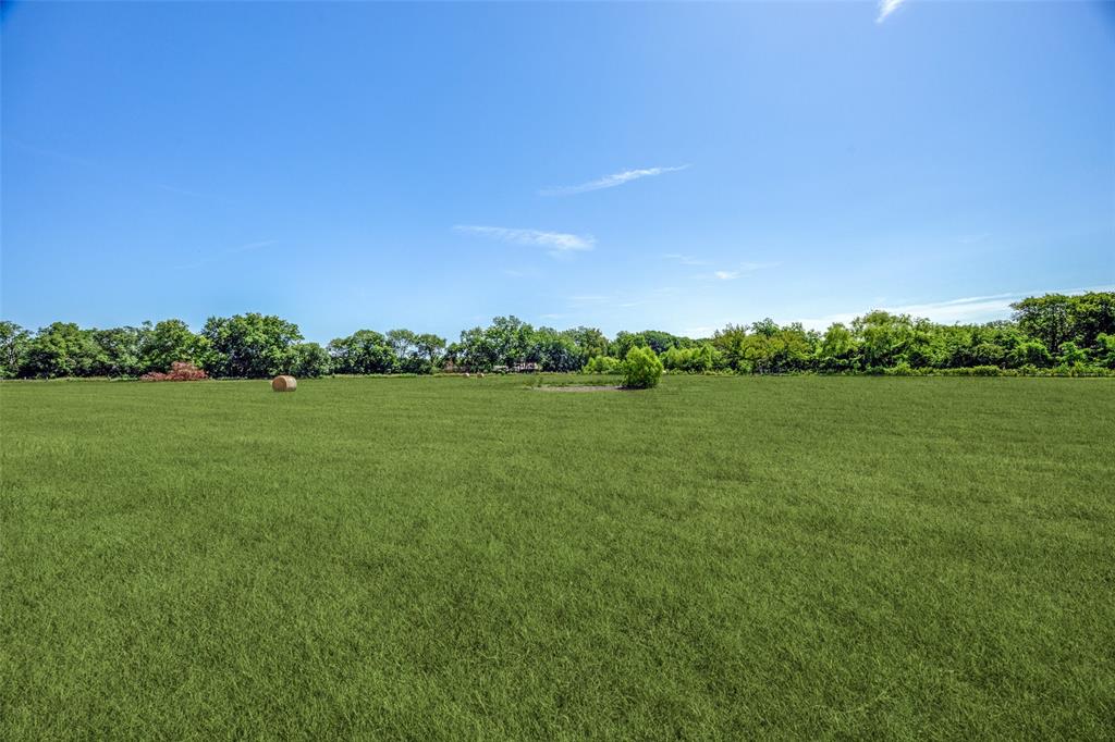 Eli Jones Sure Abs #632 - Land