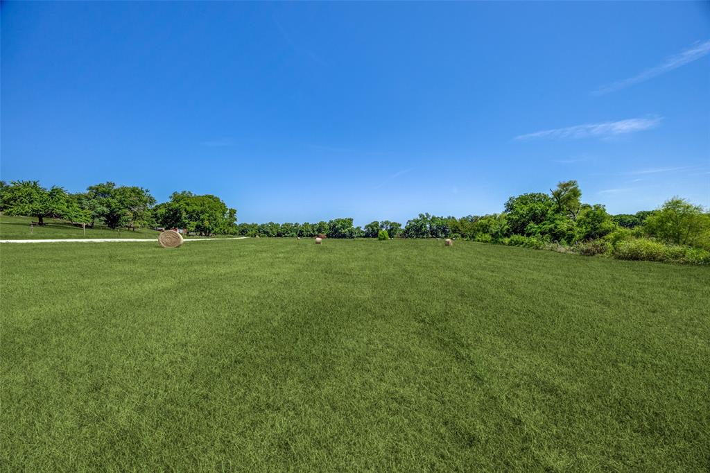 Eli Jones Sure Abs #632 - Land