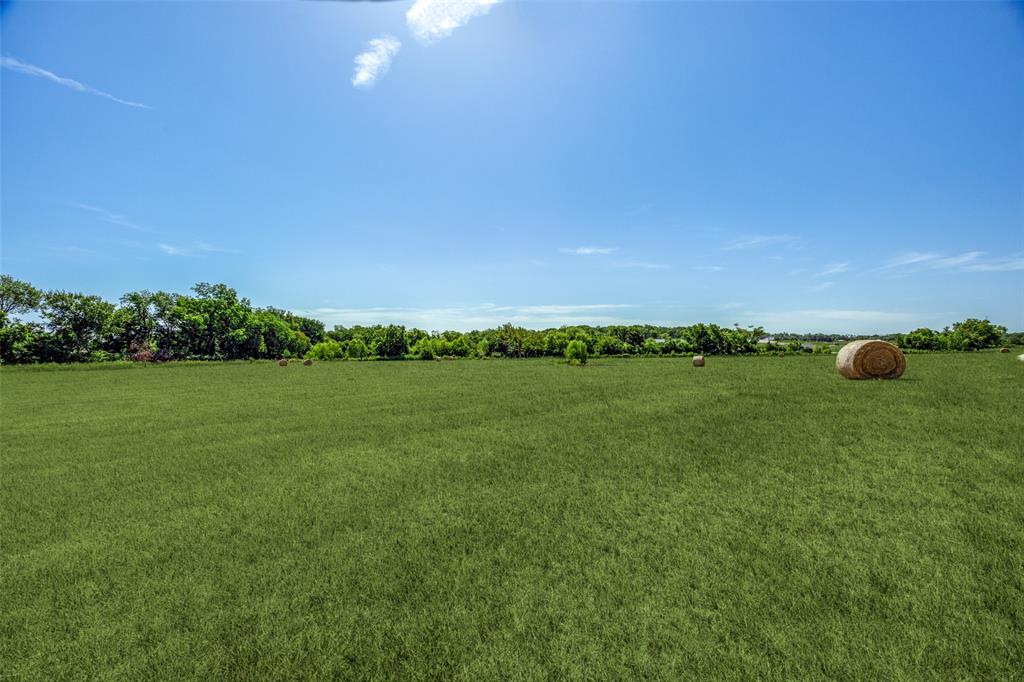 Eli Jones Sure Abs #632 - Land