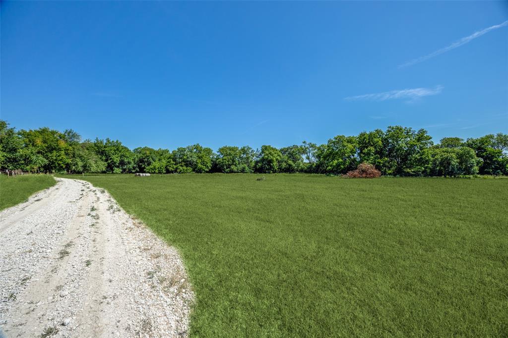 Eli Jones Sure Abs #632 - Land