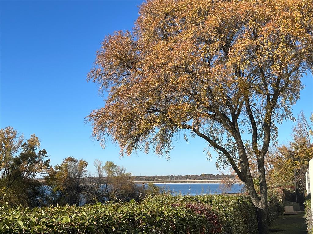 Reflection Bay Condo On Lake Arl - Residential