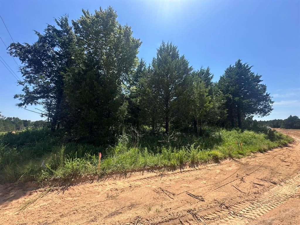 Reflection Bay - Land