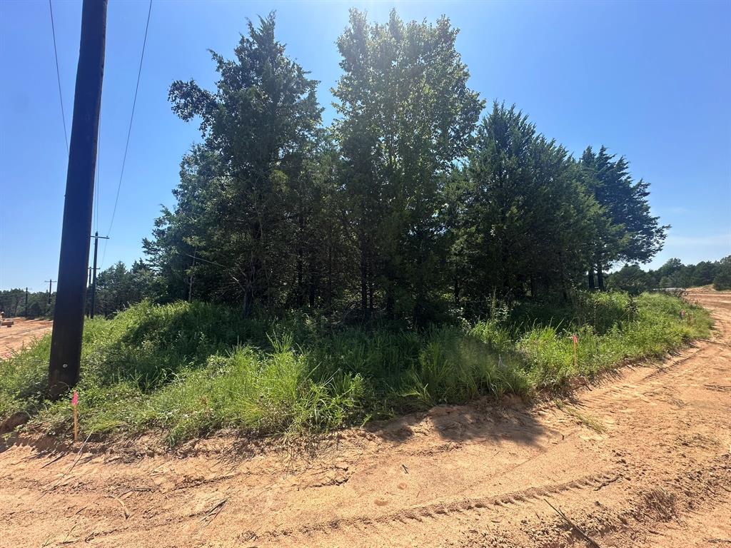 Reflection Bay - Land