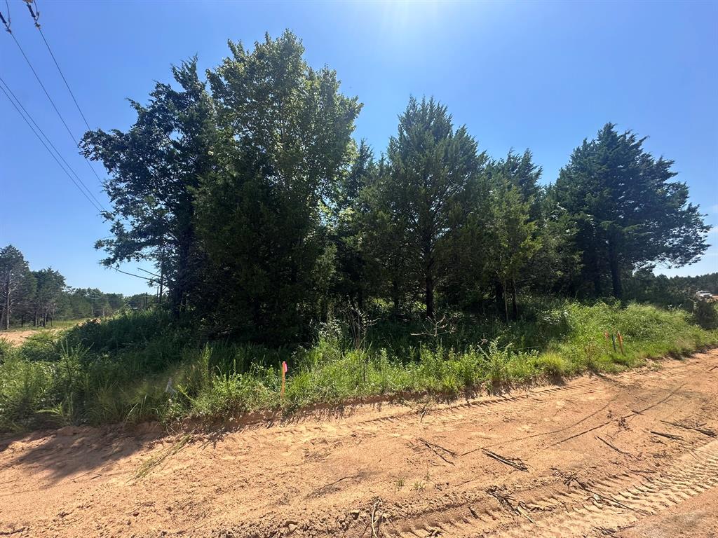 Reflection Bay - Land