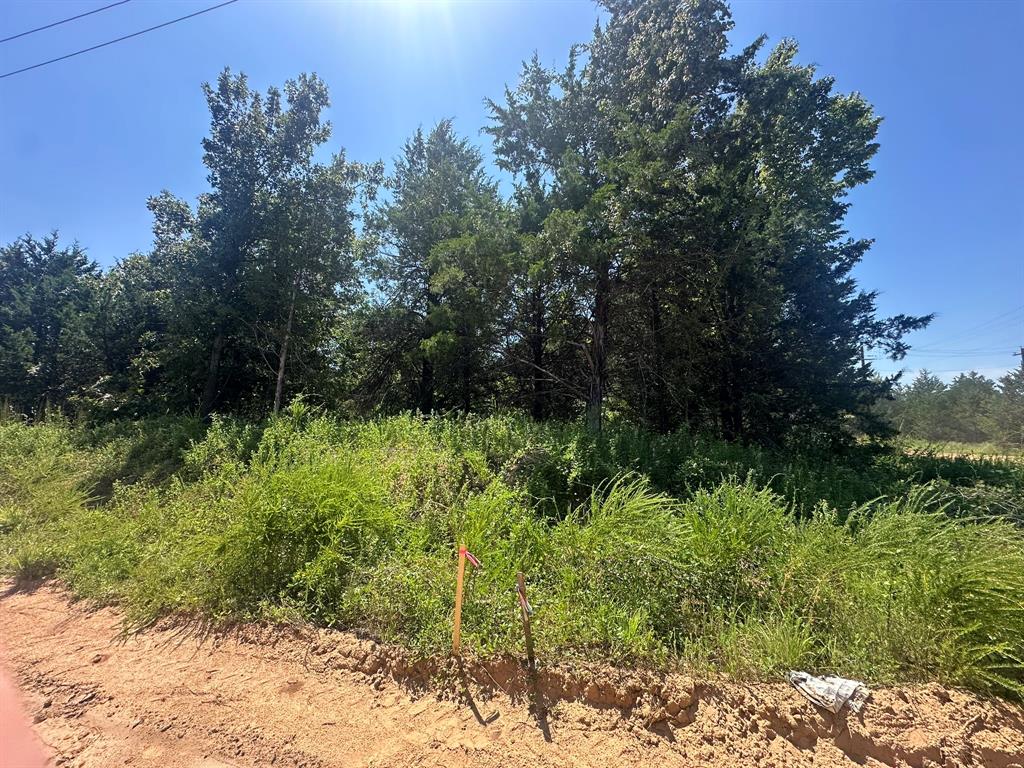 Reflection Bay - Land