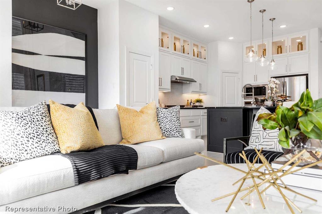 Trinity Falls: Townhomes - 22ft. lots - Residential