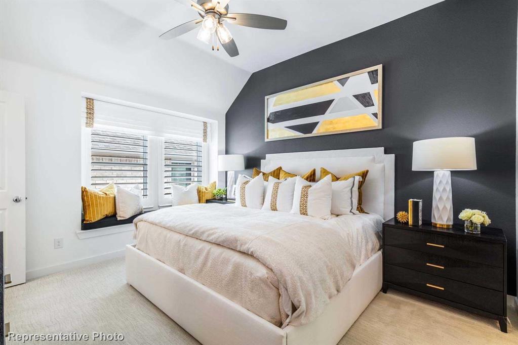 Trinity Falls: Townhomes - 22ft. lots - Residential