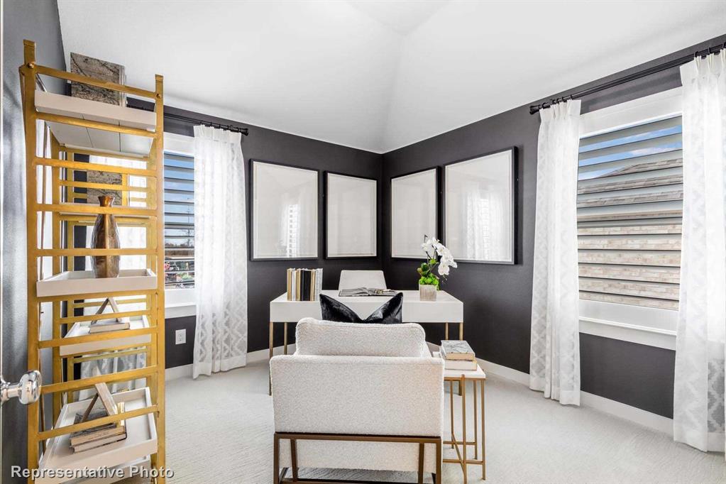 Trinity Falls: Townhomes - 22ft. lots - Residential