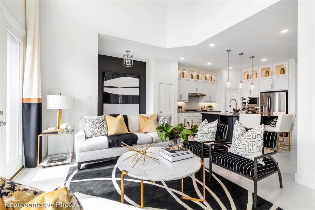 Trinity Falls: Townhomes - 22ft. lots - Residential