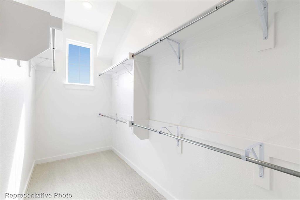 Trinity Falls: Townhomes - 22ft. lots - Residential