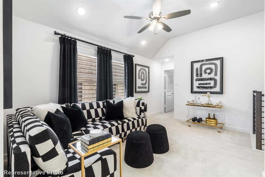 Trinity Falls: Townhomes - 22ft. lots - Residential