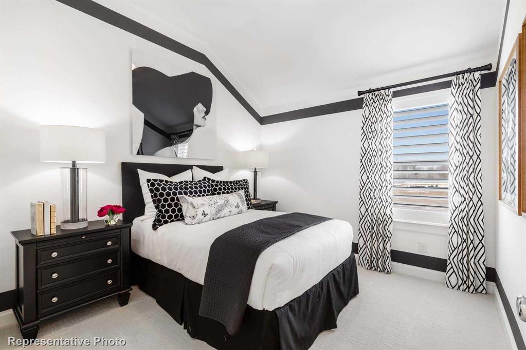 Trinity Falls: Townhomes - 22ft. lots - Residential