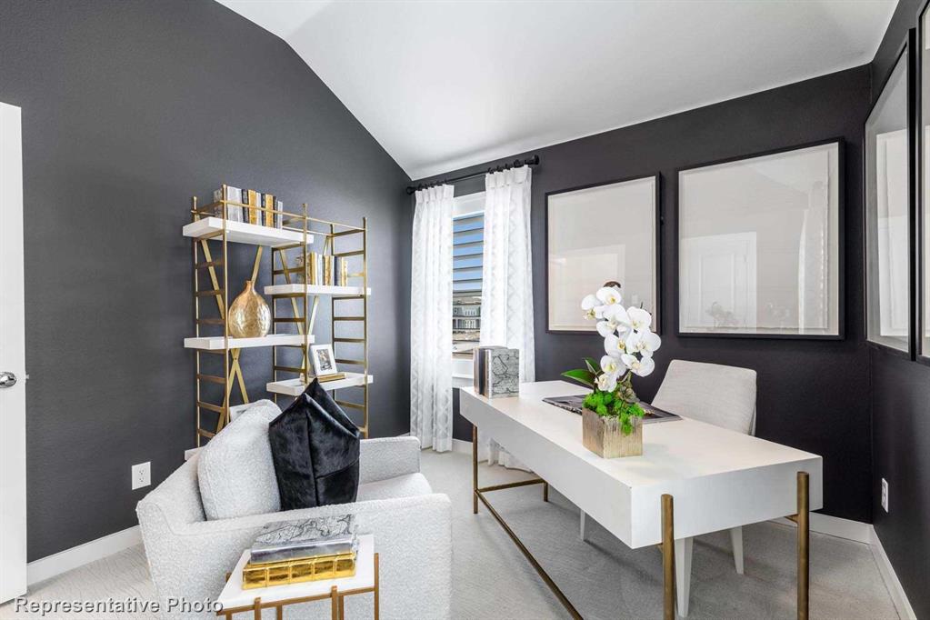 Trinity Falls: Townhomes - 22ft. lots - Residential