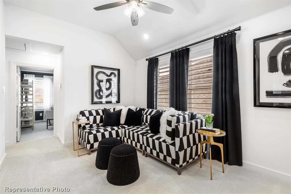 Trinity Falls: Townhomes - 22ft. lots - Residential