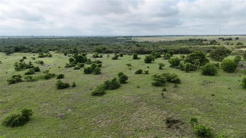 Lot 51 County Road 242 Goldthwaite TX 76442