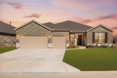 1133 Cornerstone Drive Little Elm TX 76227