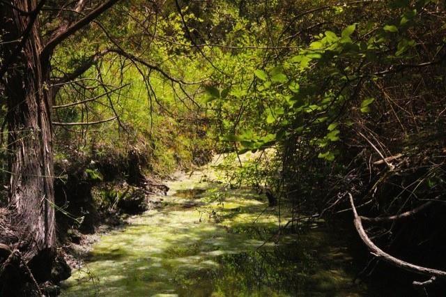 Stonebridge Estates Ph II - Land