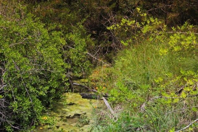 Stonebridge Estates Ph II - Land