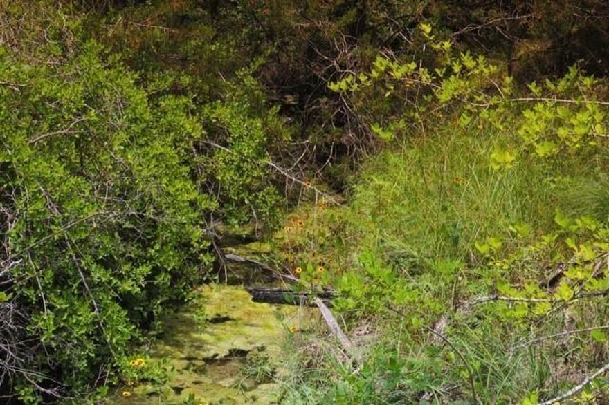 Come build your dream home on this lot just outside weatherford! No HOA, no mobile homes allowed, barndominiums permitted, multi generational homes permitted. This is a great opportunity to make this beautiful area your home.

BACK ON MARKET BUYER BACKED OUT NOT DUE TO THE PROPERTY