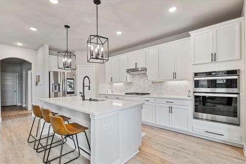 7100 Dandelion Drive Little Elm TX 76227