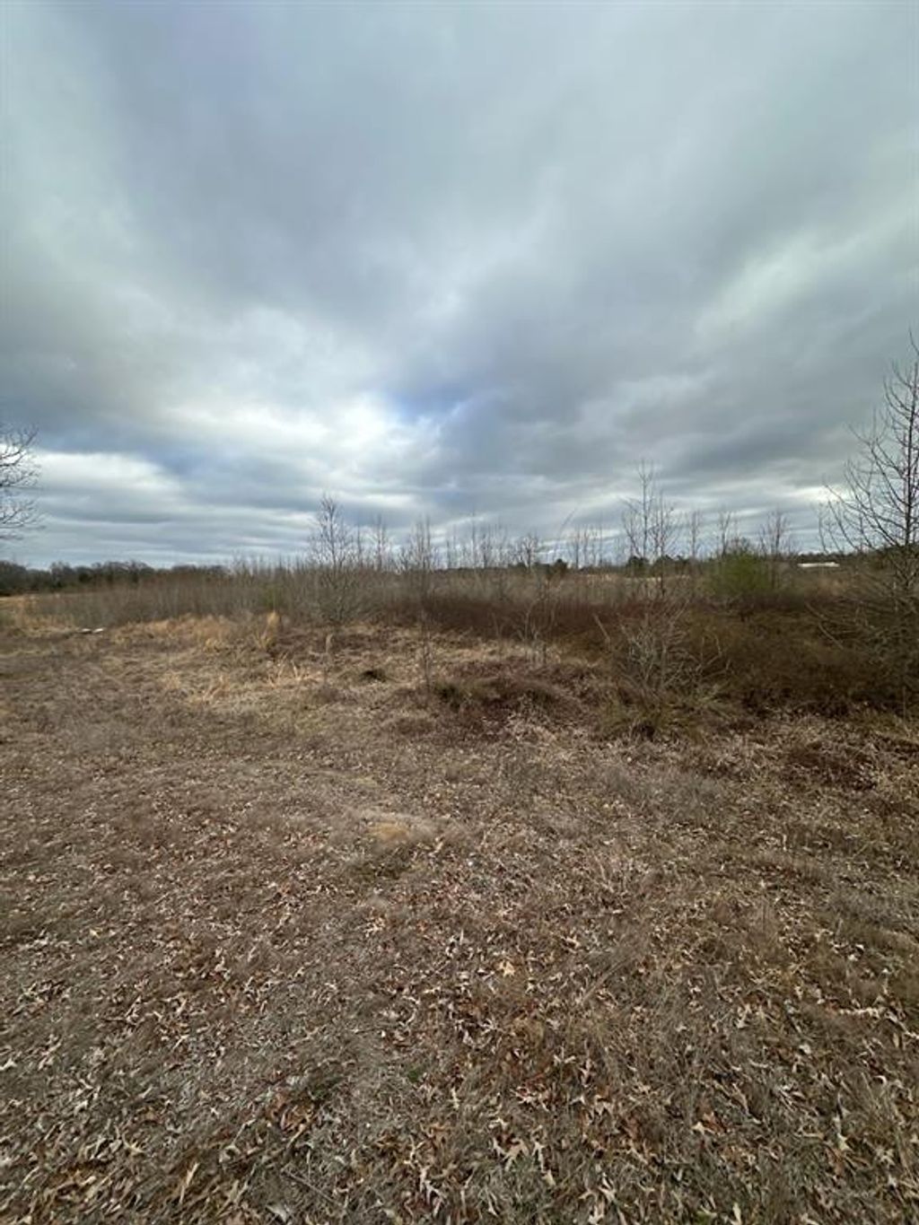 Photo of 0 County Road 4322, Avery, TX 75554 (MLS # 21194566)