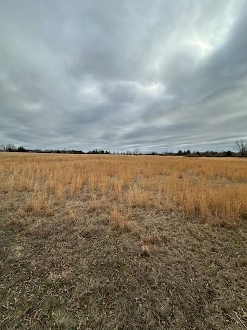 Photo of 0 County Road 4322, Avery, TX 75554 (MLS # 21194566)