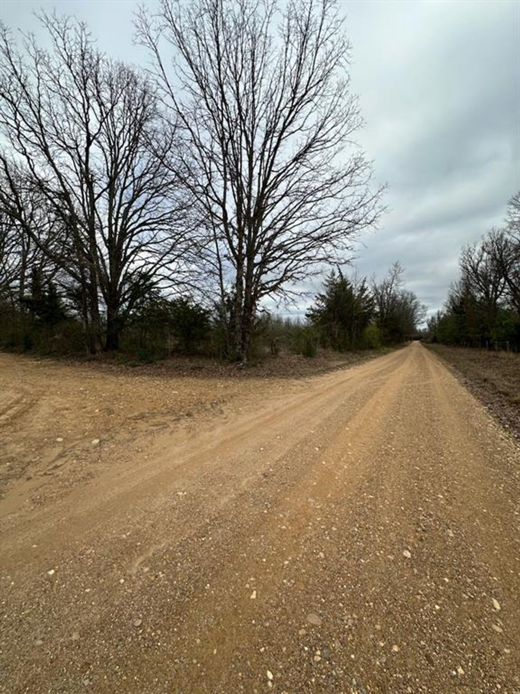Photo of 0 County Road 4322, Avery, TX 75554 (MLS # 21194566)