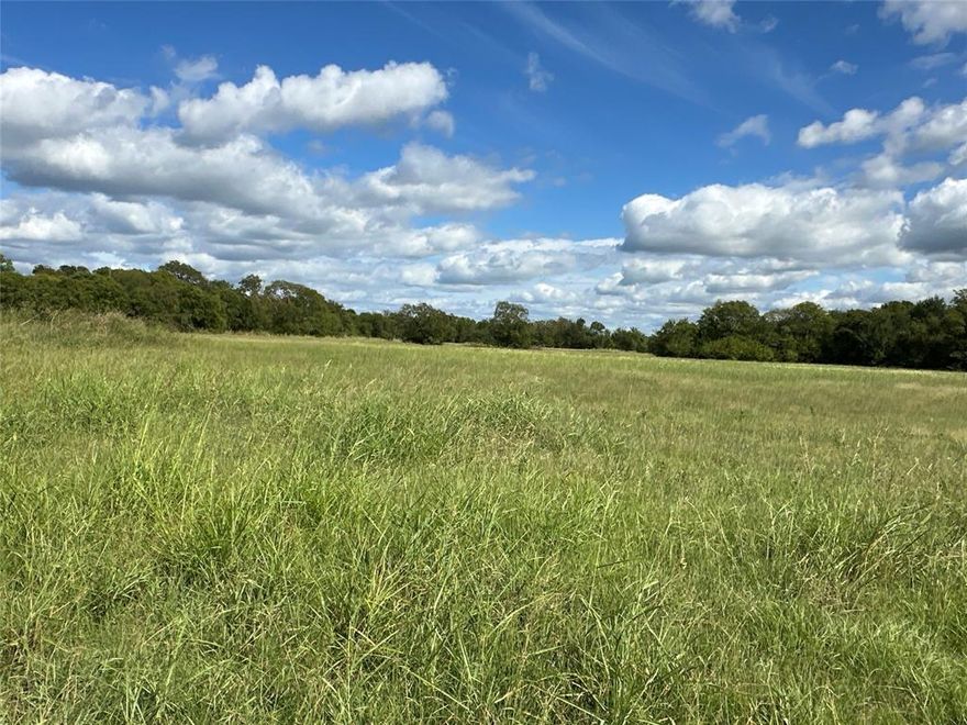 Outstanding ±11 acre corner tract located at the intersection of Hwy 78 (N Center St) and FM 273 in Bonham. This property offers excellent visibility with two access points — frontage along Hwy 78 plus direct access from FM 273 — creating flexibility for future use and easy traffic flow. Its location next to Dollar General provides steady exposure and consumer traffic.
Part of the acreage lies within Bonham city limits, giving buyers options as they explore development opportunities. The site is only minutes from both US Hwy 82 and State Hwy 121, providing quick connections throughout the region.
The property is also ideally situated near recreation, just 20 minutes from the South Boat Ramp of the new Bois D’Arc Lake and approximately 3.5 miles from Lake Bonham Park. With strong traffic counts, visibility, and proximity to two major lakes, this location combines accessibility with growth potential.
Whether envisioned for retail, commercial, hospitality, mixed-use, or residential development, this tract offers a rare chance to secure land at one of Bonham’s key intersections. The possibilities are wide open for those ready to take advantage of the area’s continued expansion.
