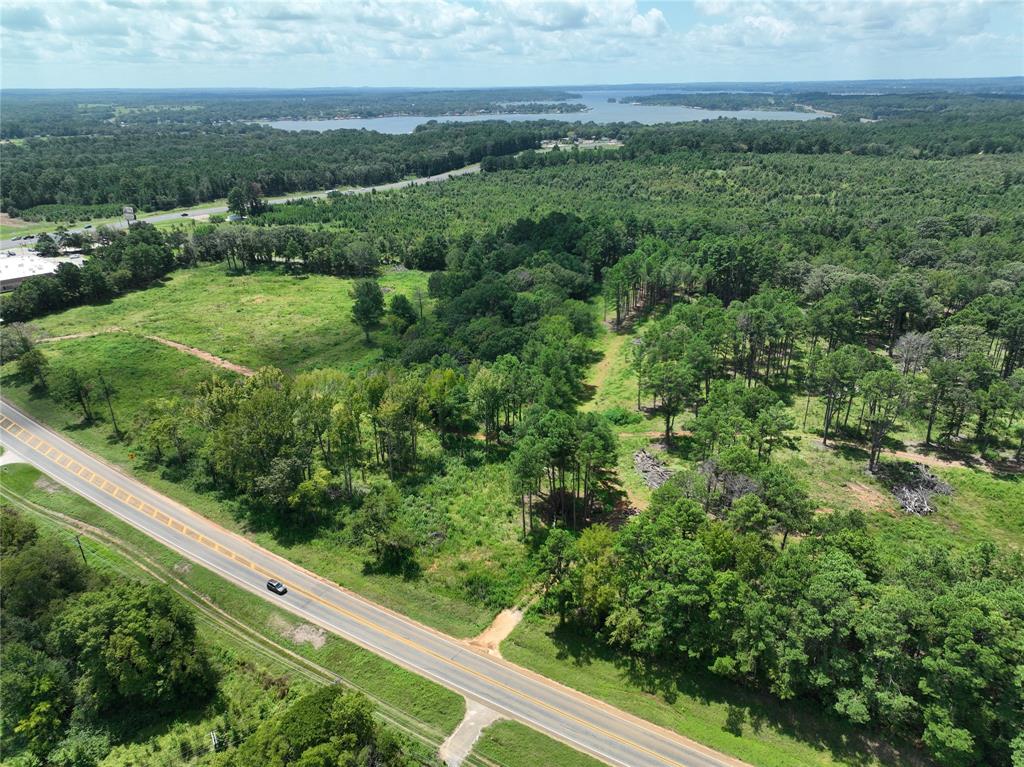 Don Thomas Quevedo Seven League Grant - Land