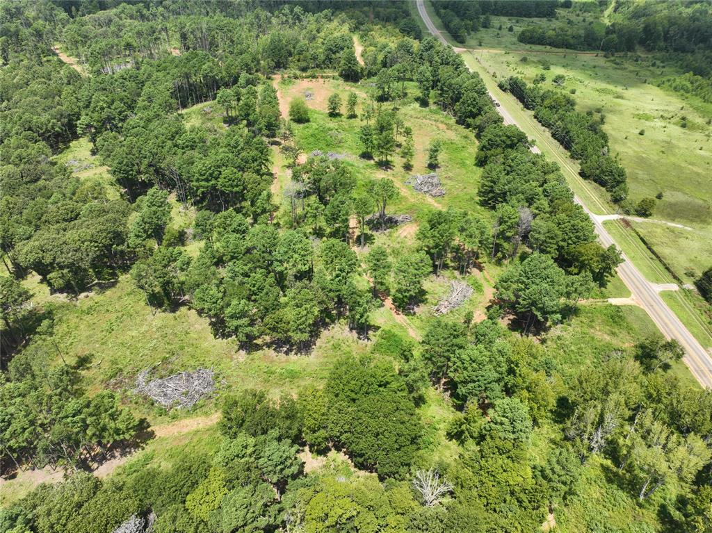 Don Thomas Quevedo Seven League Grant - Land