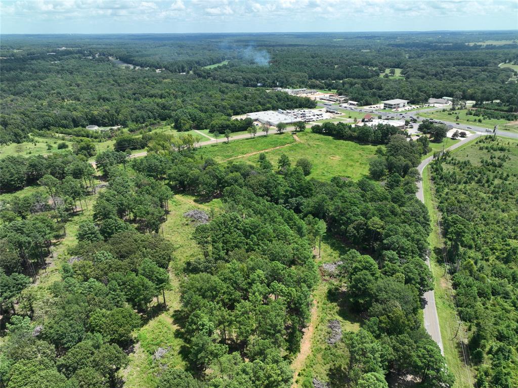 Don Thomas Quevedo Seven League Grant - Land