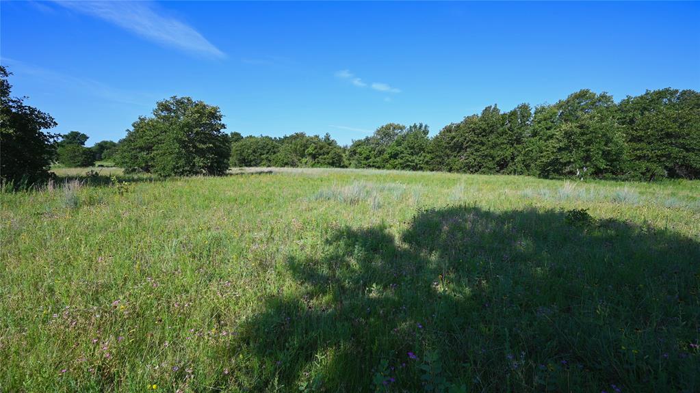 Bonita Oaks Ranch Sub - Land