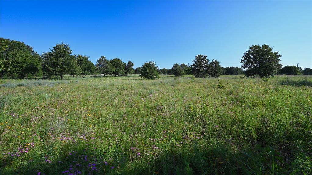 Bonita Oaks Ranch Sub - Land