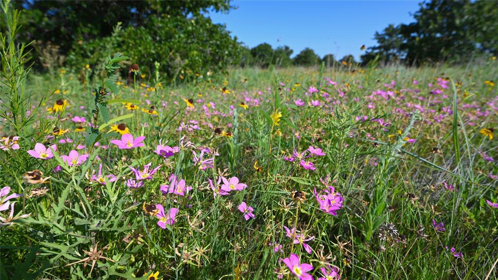 Bonita Oaks Ranch Sub - Land