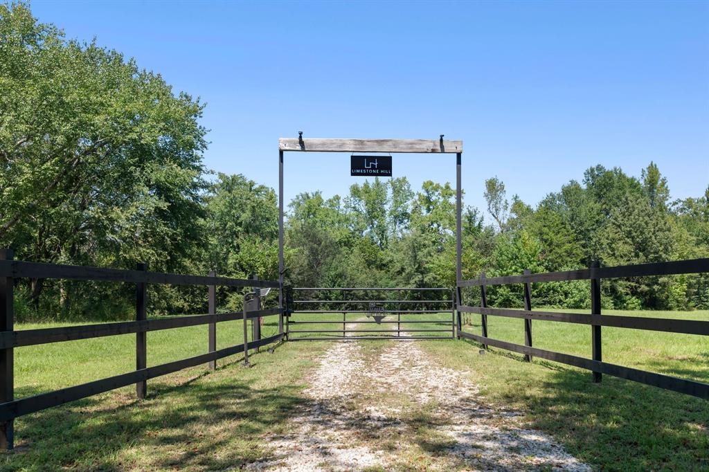 A100066 - A0066 G BASS - Farm