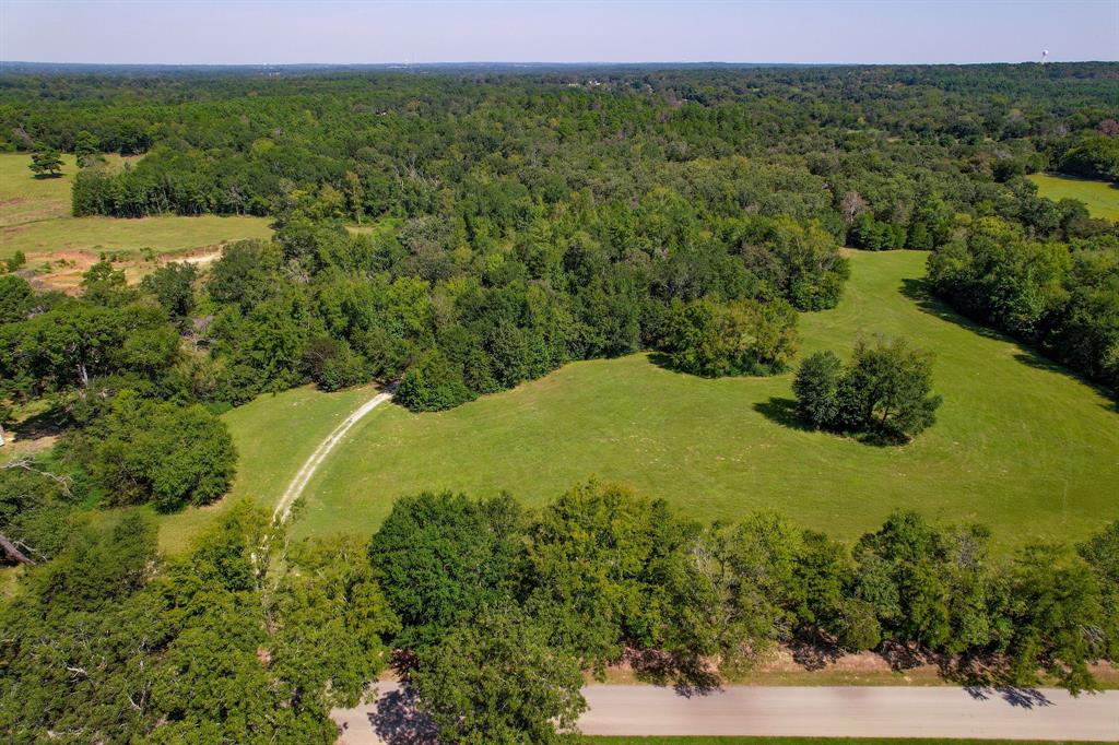 A100066 - A0066 G BASS - Farm